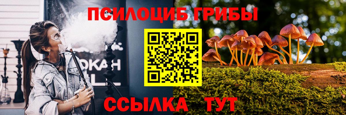Торжок  Псилоцибиновые грибы Psilocybe  Вход с VPN  Псилоцибиновые грибы Cubensis 
